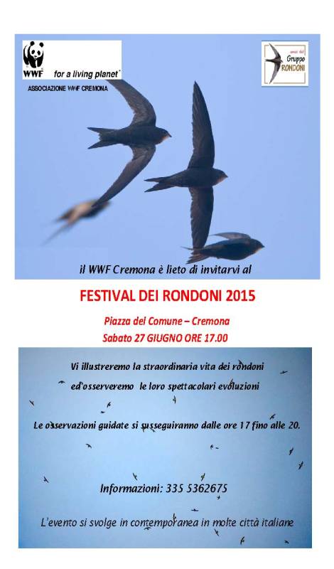 volantino festival rondoni 27 06 15
